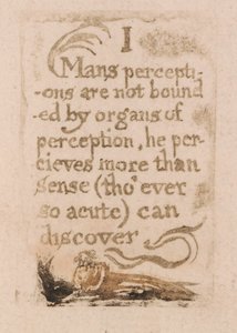 Er Is Geen Natuurlijke Religie, Plaat 10, I De Waarnemingen van de Mens zijn niet Begrensd... (Bentley b3) door William Blake